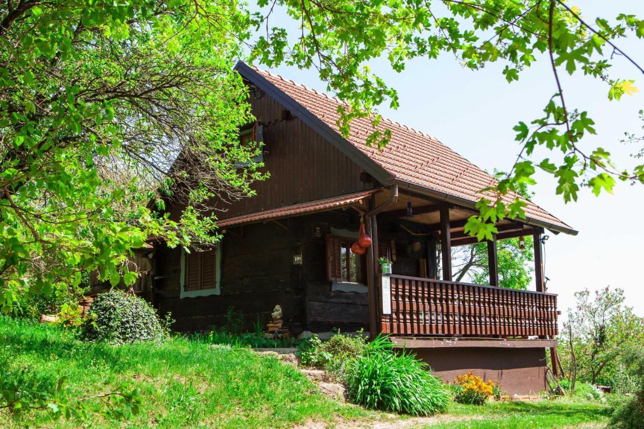 Na Okic - A Private Forest Oasis Sveti Martin pod Okicem Экстерьер фото