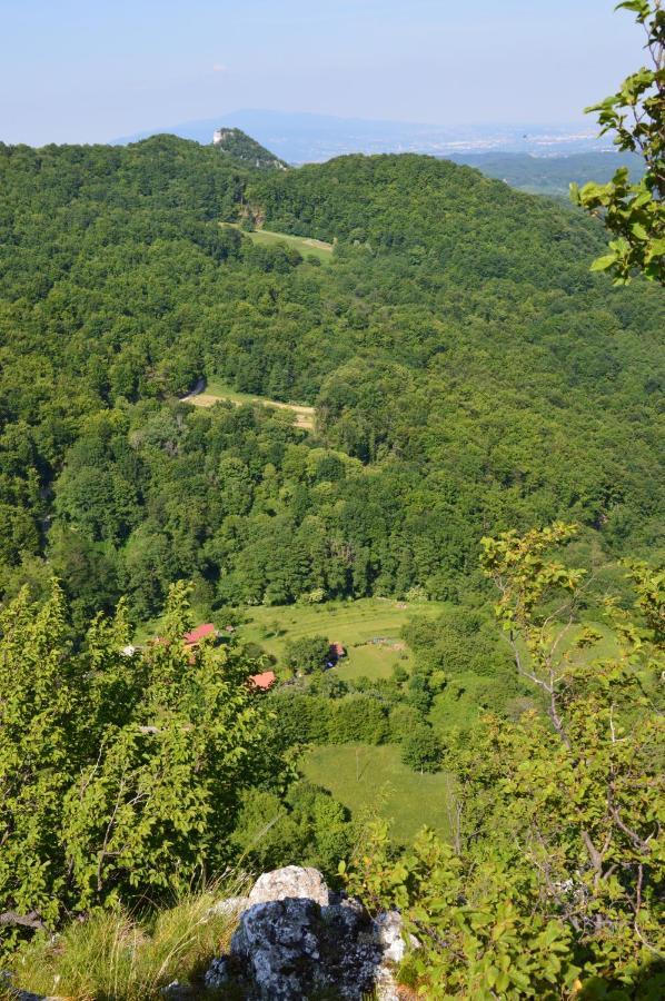 Вилла Na Okic - A Private Forest Oasis Sveti Martin pod Okicem Экстерьер фото