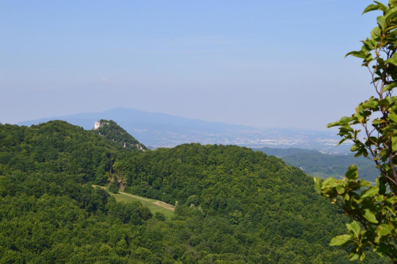 Na Okic - A Private Forest Oasis Sveti Martin pod Okicem Экстерьер фото