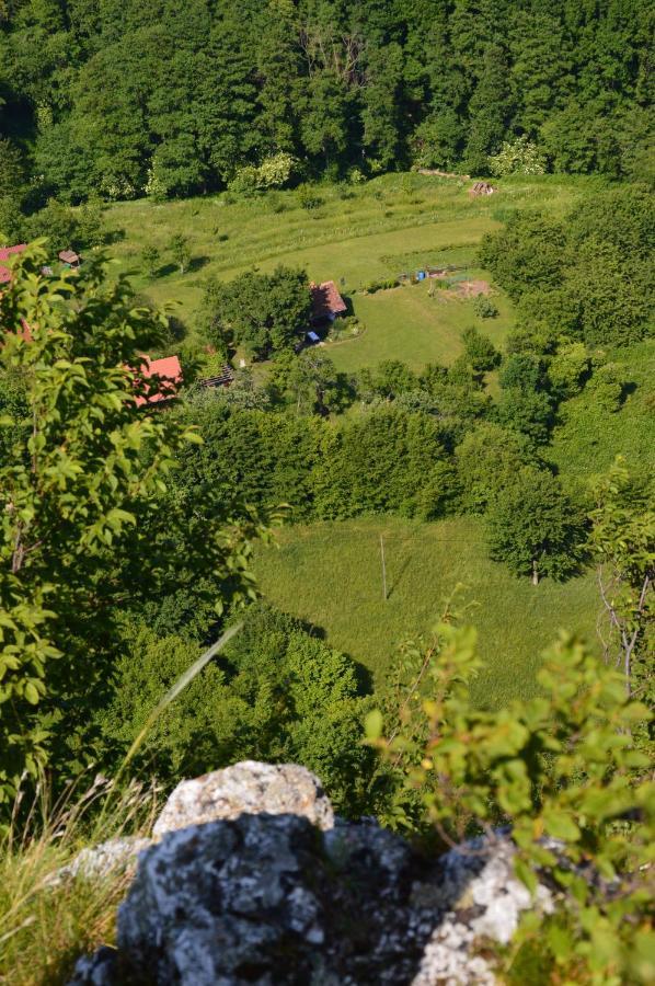 Вилла Na Okic - A Private Forest Oasis Sveti Martin pod Okicem Экстерьер фото