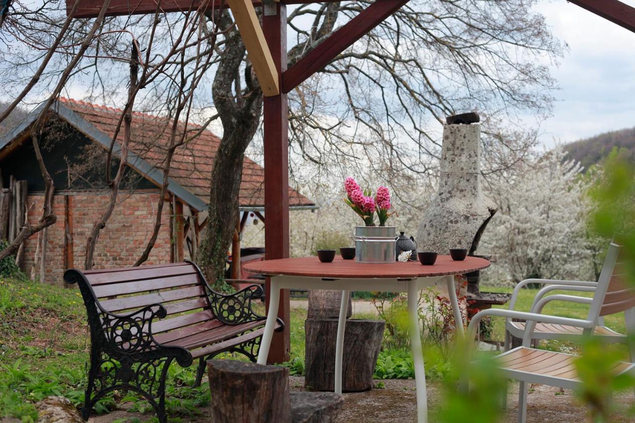 Na Okic - A Private Forest Oasis Sveti Martin pod Okicem Экстерьер фото
