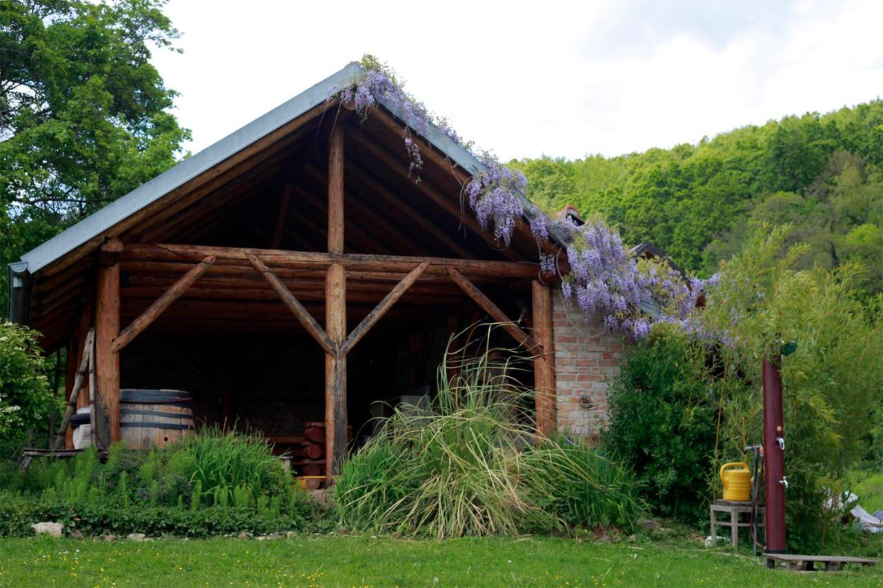 Na Okic - A Private Forest Oasis Sveti Martin pod Okicem Экстерьер фото