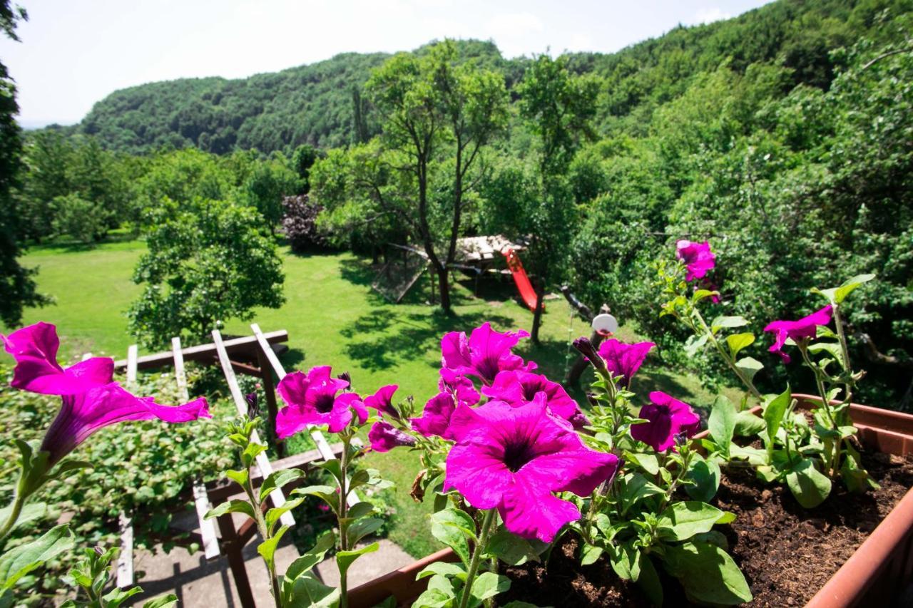 Na Okic - A Private Forest Oasis Sveti Martin pod Okicem Экстерьер фото