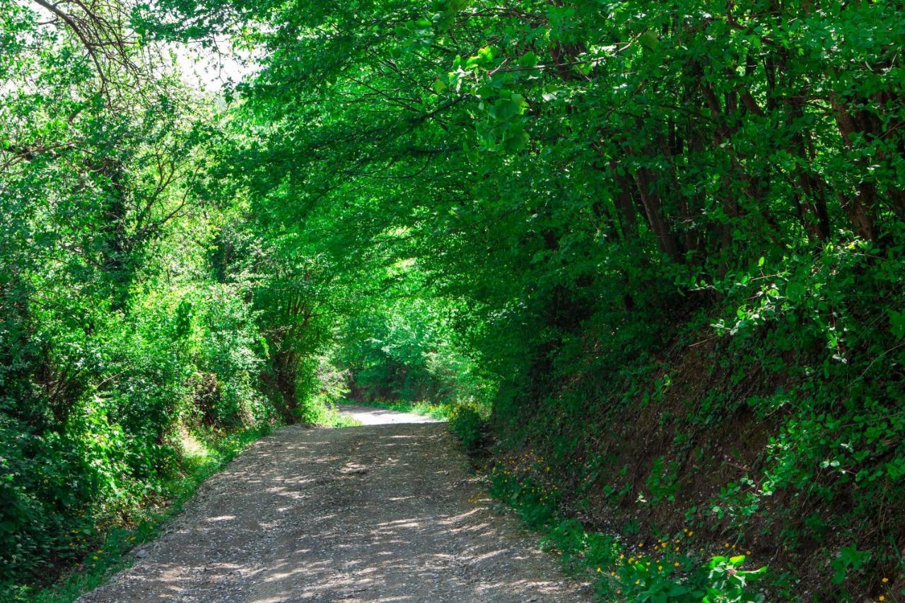 Na Okic - A Private Forest Oasis Sveti Martin pod Okicem Экстерьер фото